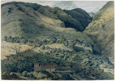 Ravine and River at St. Denis, Bourbon by T. Bradshaw